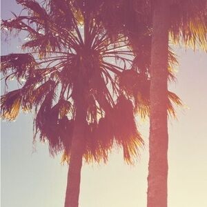 Meet your Posher, Monze